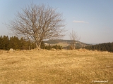 Le sommet de Moyemont est situé sur la commune de Vagney, juste en face du village du Haut du Tot qui fait partie de Sapois